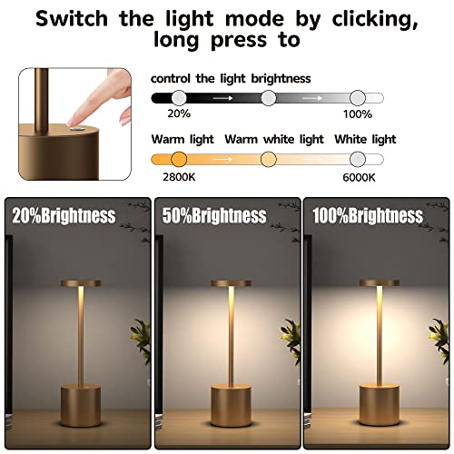 2Pack Cordless Table Lamp, Rechargeable LED Battery 5000mAh Metal USB Portable Powered Desk Lamp, 3 Levels Brightness Light for Restaurants Outdoor (2pack 10.25in Titanium) | Battery 5000mAh Metal USB Portable Powered Desk Lamp, 3 Levels Brightness Light