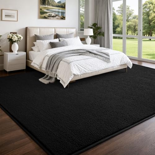 Nuttumico Large Modern Area Rugs for Bedroom Living Room, 4x6 Feet Black Rug, Thickened Memory-Foam Indoor Carpets, Minimalist Rug for Boys Girls, Soft, Non-Slip and Machine-Washable - color: Black, size: 4' X 6' (Rectangular)
