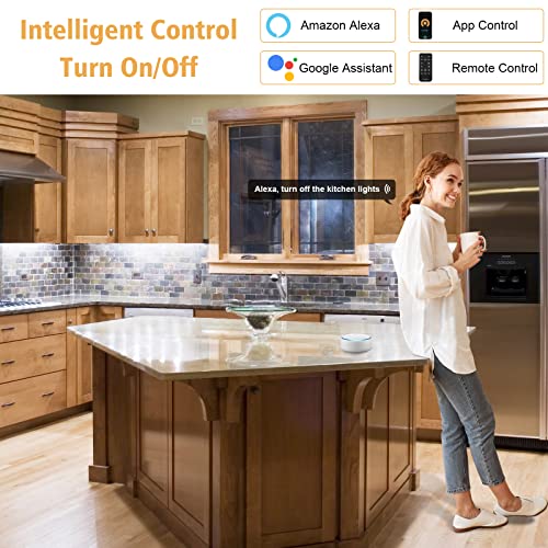 Under Cabinet Lights Kit, LED Smart Dimmable Strip Lighting Fixtures, 24V Plug in Linkable Bar LED Counter Lights for Pantry, Kitchen, Shelf, Bookcases, Showcase (10 PCS, Cold White) - color: Cold White