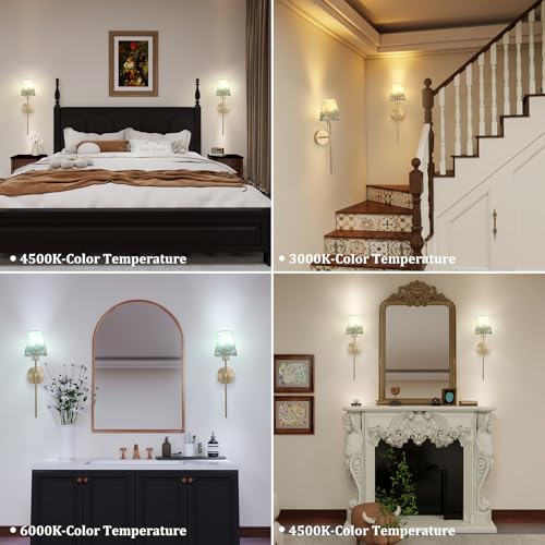Shenmoyl Battery Operated Wall Sconces Set of 2, Flower Pattern Shade 5000 mAh Rechargeable Bulb with 12 RGB Colors Dimmable Wall Sconce for Living Room Bedroom - color: Leaf Shade