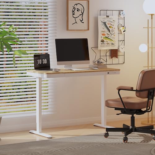 FLEXISPOT Comhar 48" Electric Standing Desk with Drawers, USB Charging Ports, Quick Assembly, Height Adjustable Sit Stand Desk with Child Lock for Natural Home Office, Bamboo Finish Top/White Legs - size: 48"Bamboo Texture/White