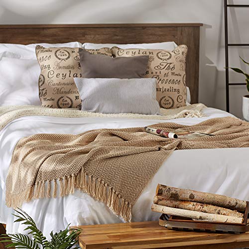 DII Chevron Throw Collection Handloomed Cotton, 50x60, Stone - color: Stone, size: 50x60"