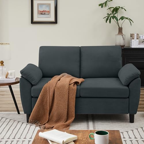 Small Loveseat Sofa, 57" Mid Century Modern Love Seat, 2 Seater Couches for Living Room, Bedroom, Small Spaces, Dark Grey - color: Dark Grey