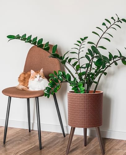 D'vine Dev Planter Pot with Wood Stand, 12 in, Terra Cotta, 88-Z-C-3 | Mid-Century Modern Style, Elevated Plant Display, Drainage Hole and Plug, Functional & Stylish, Modern Indoor Planter - color: Terra Cotta, size: Large