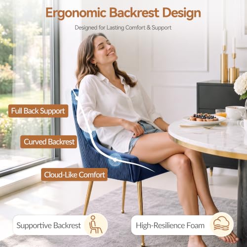 WUTUTUEE Velvet Dining Chairs Set of 2 Gold Legs,Upholstered Velvet Accent Chairs, Pleated Back Design & Gold Pull Handle, Mid Century Modern Chairs for Dining/Kitchen/Living Room,Blue - color: Blue, size: Set of 2