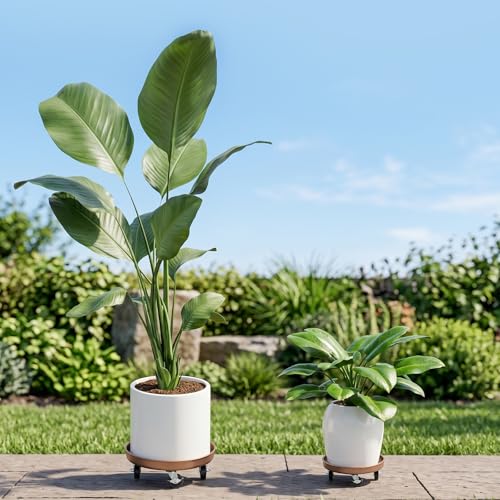 Plant Caddy With Wheels 13" Metal Plant Saucers for Indoors 350 Lb Capacity | Rolling Plant Stand, 360° Locking Casters Heavy Duty Planter Caddies, Rustproof and Waterproof, and Easy to Move, 1 Pack - size: 1 PACK 13 INCH