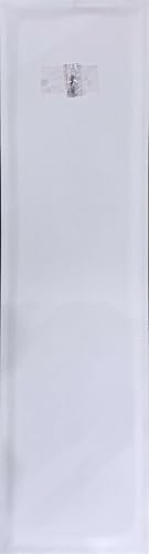 13x49 Over Door Mirrors, Hanging Mirror Over Doors,Back of Door Mirror Full Length,Full Body Mirrors for Wall(Black)