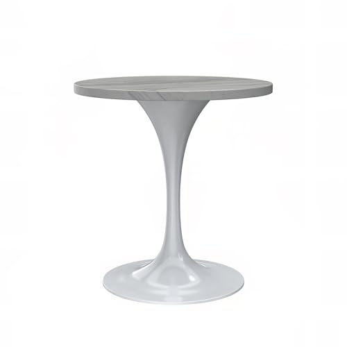 LeisureMod Verve Modern Round Dining Table,Tabletop with Pedestal Base, Contemporary Kitchen & Dining Room Table, Mid-Century Breakfast Nook Table (White Base, White Resin) - color: White Resin, size: 27 inch Wide