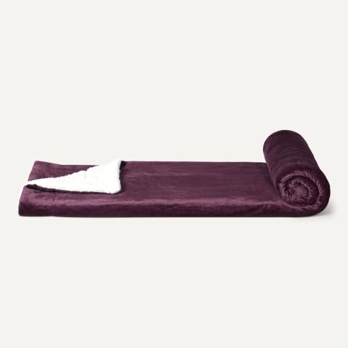 Amazon Basics Reversible Sherpa Throw Blanket, Velvety Flannel, Ultra Soft, Plum, 50"x60" - color: Plum, size: Throw (50"x60")