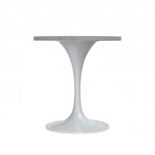 LeisureMod Verve Modern Round Dining Table,Tabletop with Pedestal Base, Contemporary Kitchen & Dining Room Table, Mid-Century Breakfast Nook Table (White Base, White Resin) - color: White Resin, size: 27 inch Wide