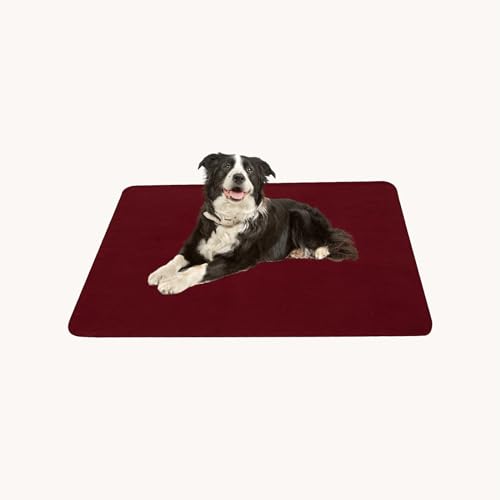 CAI TENG Fleece Throw Blanket 6 Pack Blankets Bulk Soft Lightweight Kid Blanket Cozy Small Blanket 50 x 60 Solid Pet-Friendly Bed Sofa Couch Fleece Fabric Travel Wedding Outdoor Burgundy - color: Burgundy