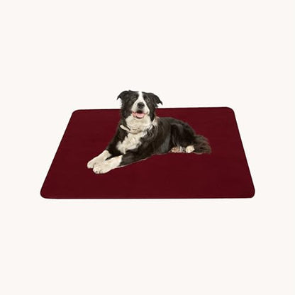 CAI TENG Fleece Throw Blanket 6 Pack Blankets Bulk Soft Lightweight Kid Blanket Cozy Small Blanket 50 x 60 Solid Pet-Friendly Bed Sofa Couch Fleece Fabric Travel Wedding Outdoor Burgundy - color: Burgundy