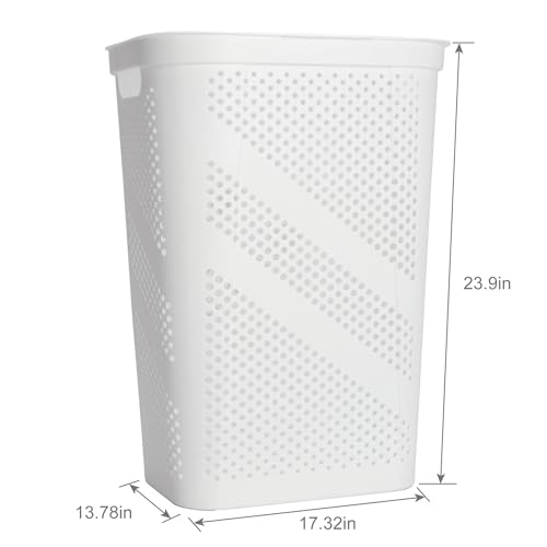 24" Plastic Hinged-Lid Rectangle Laundry Hamper, All Ages, White