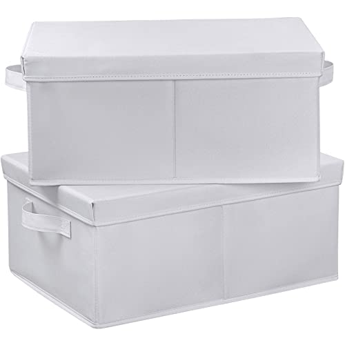 HOONEX Storage Bins with Lids for Organizing, Pack of 2, Storage Boxes with 2 Carrying Handles and Sturdy Heavy Cardboard, 16.5" L x 11.8" W x 7.5" H for Shoes, Books, Clothes, Nursery, White - color: White