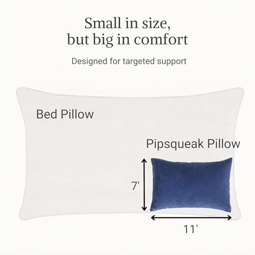 Pipsqueak Microfiber Pillow - Small, Mini, Tiny - 11 x 7 in - Perfect for Travel, Cars, Airplanes, Camping, Dogs, Toddlers, Kids, Lumbar, Knees and Neck - Ages 2 Yrs and Up - color: Blue, size: 1 Pack, style: Non-Personalized