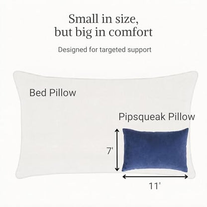 Pipsqueak Microfiber Pillow - Small, Mini, Tiny - 11 x 7 in - Perfect for Travel, Cars, Airplanes, Camping, Dogs, Toddlers, Kids, Lumbar, Knees and Neck - Ages 2 Yrs and Up - color: Blue, size: 1 Pack, style: Non-Personalized