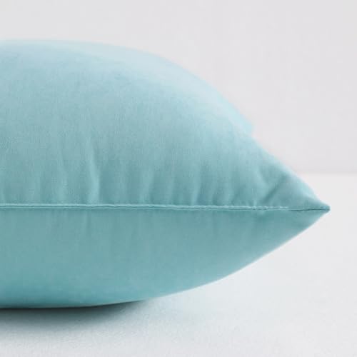 NTBAY Toddler Pillows, Set of 2, 13"x18", Aqua | Soft Microfiber Toddler Pillows with Down-Alternative Fill, 2 Pack 13 x 18 Inch Pillows for Beds, Daycare, and Travel - color: Aqua, size: 13"x18"
