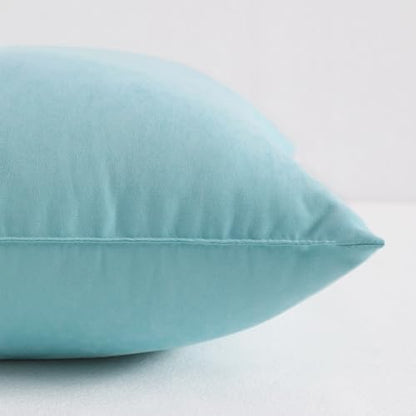 NTBAY Toddler Pillows, Set of 2, 13"x18", Aqua | Soft Microfiber Toddler Pillows with Down-Alternative Fill, 2 Pack 13 x 18 Inch Pillows for Beds, Daycare, and Travel - color: Aqua, size: 13"x18"