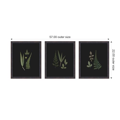 Kate and Laurel Botanical Leaf Study 3 Piece Framed Wall Art Print Set by Stephanie Klatt, Dark Bronze Scoop Modern Contemporary, Nature Art for Wall Decor - color: Dark Bronze Scoop