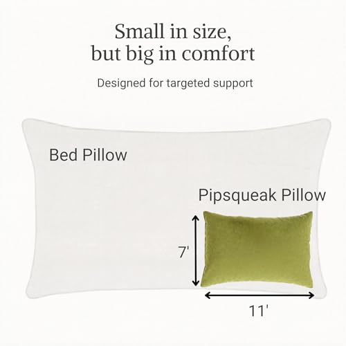 Pipsqueak Microfiber Pillow - Small, Mini, Tiny - 11 x 7 in - Perfect for Travel, Cars, Airplanes, Camping, Dogs, Toddlers, Kids, Lumbar, Knees and Neck - Ages 2 Yrs and Up - color: Olive, size: 2 Pack, style: Non-Personalized