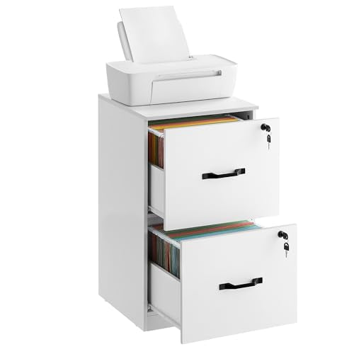 VASAGLE CUSTOS Collection - 2 Drawers File Cabinet with Lock, Printer Stand, Office Filing Cabinet Organizer, for A4 and Letter Size Documents, Cloud White UOFC061WB01 - color: Cloud White, size: 15.7"D x 16.1"W x 27.9"H