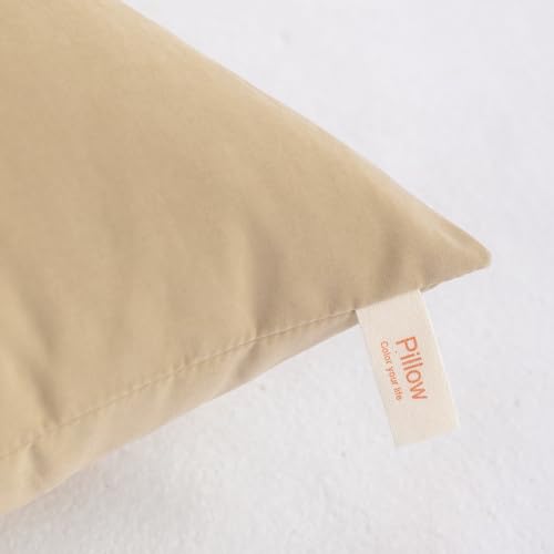 NTBAY Toddler Pillows, Set of 2, 13"x18", Light Taupe | Soft Microfiber Toddler Pillows with Down-Alternative Fill, 2 Pack 13 x 18 Inch Pillows for Beds, Daycare, and Travel - color: Light Taupe, size: 13"x18"
