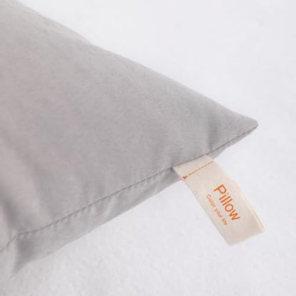 NTBAY Toddler Pillows, Set of 2, 13"x18", Light Grey | Soft Microfiber Toddler Pillows with Down-Alternative Fill, 2 Pack 13 x 18 Inch Pillows for Beds, Daycare, and Travel - color: Light Grey, size: 13"x18"