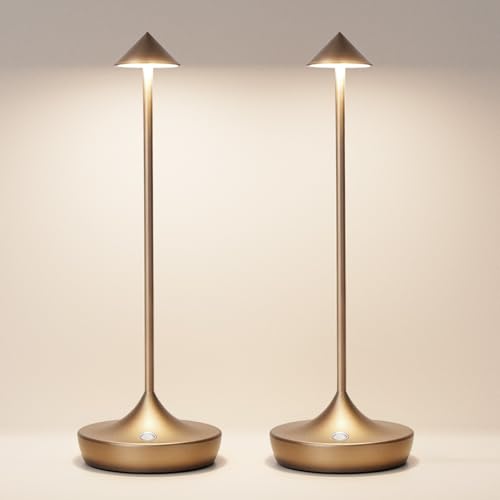 2 Pack Cordless Table Lamp, Rechargeable 6000mAh Battery Table Light | 3 Color Stepless Dimming Portable LED Table Light with Memory Function, for Outdoor/Patio/Restaurant.（Bronze） - color: 2x Titanium