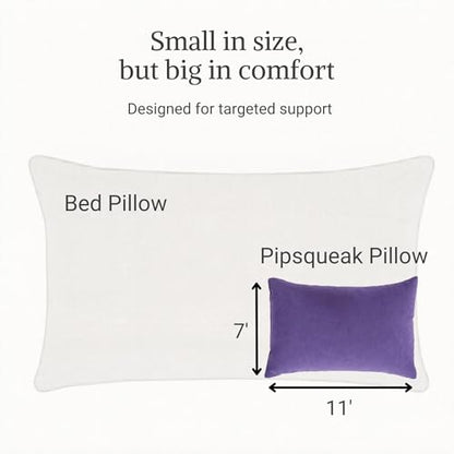 Pipsqueak Microfiber Pillow - Small, Mini, Tiny - 11 x 7 in - Perfect for Travel, Cars, Airplanes, Camping, Dogs, Toddlers, Kids, Lumbar, Knees and Neck - Ages 2 Yrs and Up - color: Purple, size: 2 Pack, style: Non-Personalized