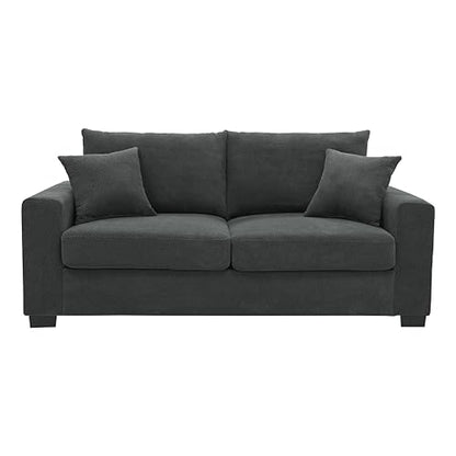 Loveseat Sofa, 69" Modern Upholstered 2-Seater Couch with 2 Throw Pillows, Deep Seat Thick Cushions, Wide Arms & High Density Foam, Small Couch for Bedroom Apartment (Dark Gray, Foam) - color: Dark Gray