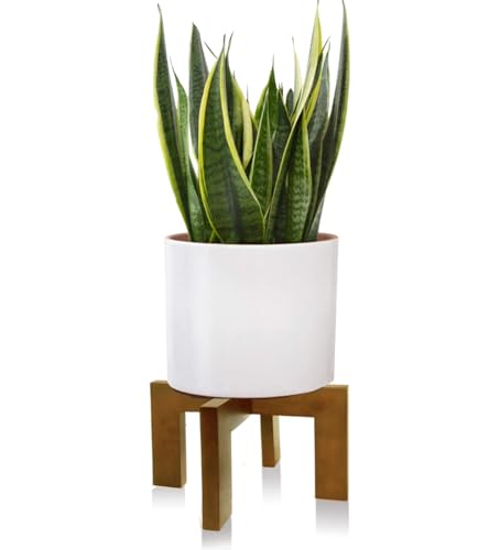 Wood Plant Stand, Mid Century Modern Planter Stand Rattan Flower Pot Stand, Low Short Plant Stands Indoor - Boho Rustic Wooden Stool for Plant Pot Holder, Fit 5-15 Inch Pot - color: 1 Brown