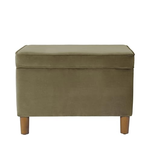 HomePop 24" Dinah Collection Storage Ottoman - Light Sage Green Velvet - color: Light Sage Green Velvet