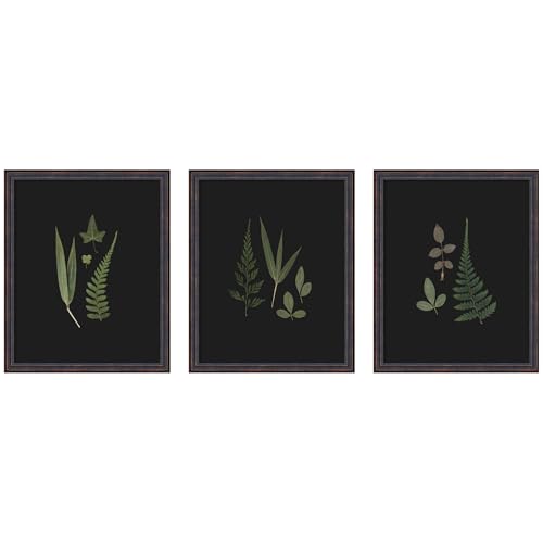 Kate and Laurel Botanical Leaf Study 3 Piece Framed Wall Art Print Set by Stephanie Klatt, Dark Bronze Scoop Modern Contemporary, Nature Art for Wall Decor - color: Dark Bronze Scoop