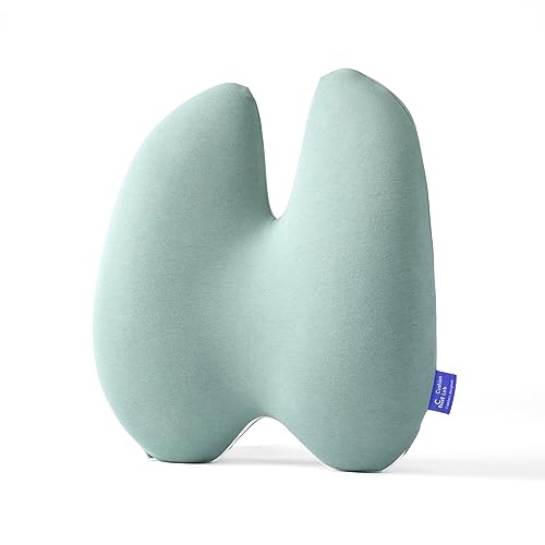 C CUSHION LAB Extra Dense Lumbar Pillow - Patented Ergonomic Multi-Region Firm Back Support for Lower Back Pain Relief - Lumbar Support Cushion with Strap for Office Chair, Car, Sofa - Wellness Green - color: Wellness Green