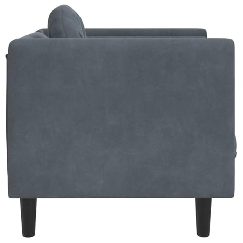 Dark Grey Velvet Sofa Chair with Padded Armrests, Modern Single Seating Plush Armchair, Solid Wood Frame, Removable Cushion Cover for Easy Cleaning - color: Dark Gray, size: 1 & Sofa