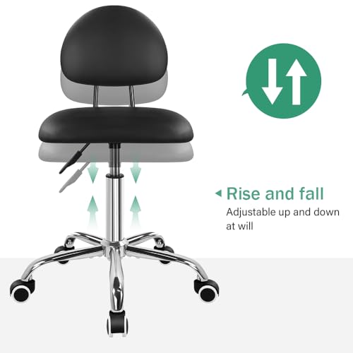 FURWOO Office Chair with Back Modern Minimalist Style 360 Swivel Stool with Wheels for Home Office Work Vanity Spa Shop Black