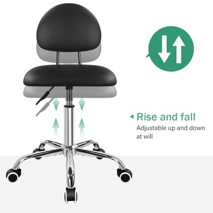FURWOO Office Chair with Back Modern Minimalist Style 360 Swivel Stool with Wheels for Home Office Work Vanity Spa Shop Black