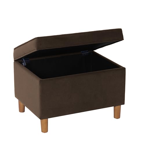 Spatial Order 24" Dinah Collection Storage Ottoman - Chocolate Brown Velvet - color: Chocolate Brown Velvet