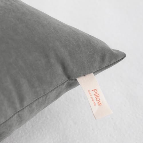 NTBAY Toddler Pillows, Set of 2, 13"x18", Dark Grey | Soft Microfiber Toddler Pillows with Down-Alternative Fill, 2 Pack 13 x 18 Inch Pillows for Beds, Daycare, and Travel - color: Dark Grey, size: 13"x18"