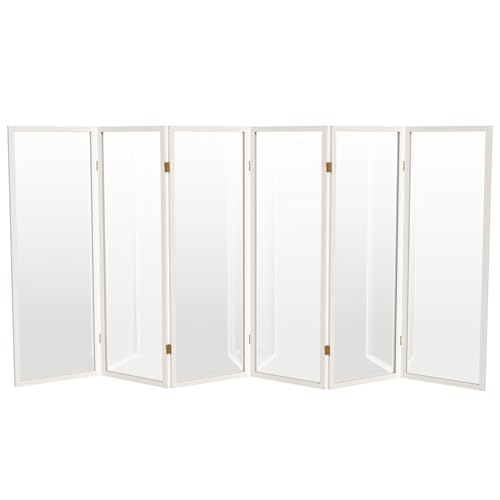 4 ft. Short Clear Plastic Partition White 6 Panel - color: White, size: 6 Panel