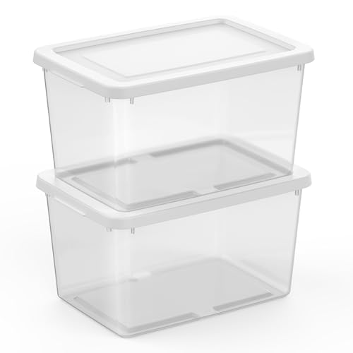 Sterilite Storage Box, Stackable Clear Plastic Bins, 20 Quart, 6-Pack | Heavy-Duty Organizing Containers with Snap-On Lids for Closet, Bathroom, and Office - size: 20 Qt, style: 6 Pack
