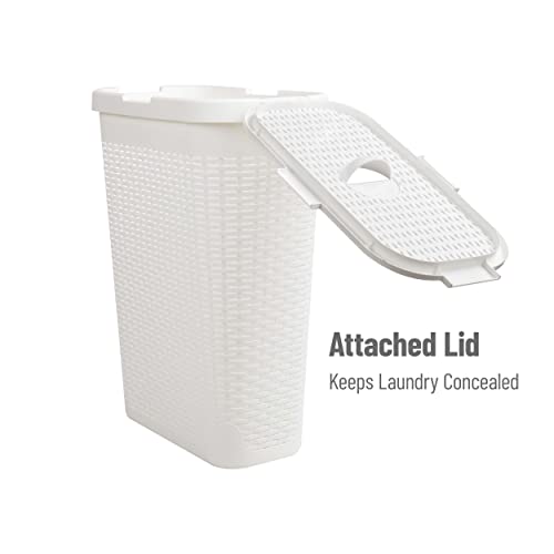 Mind Reader 40L Slim Laundry Hamper with Lid, Narrow Clothes Baskets, Set of 2, White - color: White, size: Set of 2
