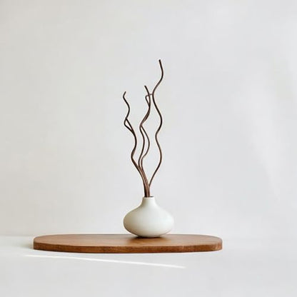 White Ceramic Vase, DIY Empty Reed Diffuser Bottle with Wavy Brown Rattan Sticks for Essential Oils, Set of 2, Aromatherapy, Modern Minimal Decor