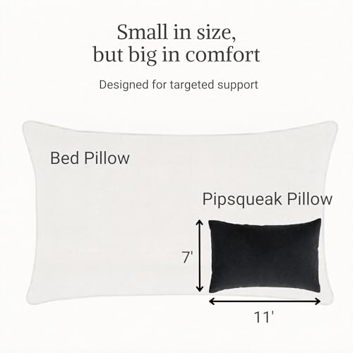 Pipsqueak Microfiber Pillow - Small, Mini, Tiny - 11 x 7 in - Perfect for Travel, Cars, Airplanes, Camping, Dogs, Toddlers, Kids, Lumbar, Knees and Neck - Ages 2 Yrs and Up - color: Black, size: 2 Pack, style: Non-Personalized
