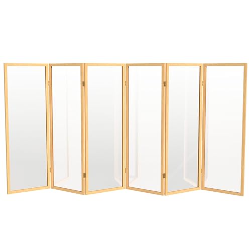 Red Lantern 4 ft. Short Clear Plastic Partition Natural 6 Panel - color: Natural, size: 6 Panel