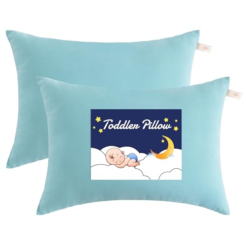 NTBAY Toddler Pillows, Set of 2, 13"x18", Aqua | Soft Microfiber Toddler Pillows with Down-Alternative Fill, 2 Pack 13 x 18 Inch Pillows for Beds, Daycare, and Travel - color: Aqua, size: 13"x18"