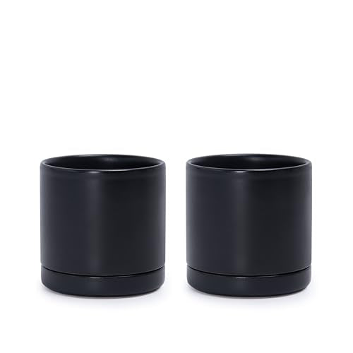 D'vine Dev 2-Pack Ceramic Pots with Saucers, Black, 3.5 in, 94-V-A-2 | Modern Cylinder Design, Glazed Ceramic, Drainage Hole & Saucer Included, High Temperature Fired, Elegant Home Accent - color: Black, size: 3.5 Inch