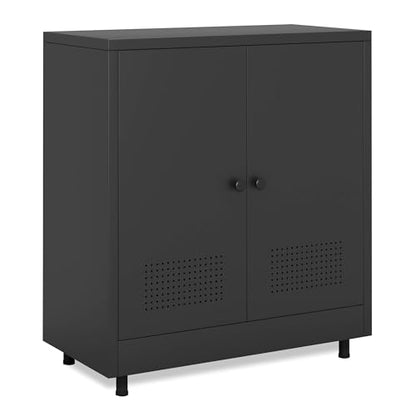 Metal Storage Cabinet with 2 Doors and Adjustable Shelf, Steel Accent Sideboard Buffet Cabinet for Home, Office, Garage, Entryway, Living Room, Kitchen Pantry and Dining Room (Black) - color: Black
