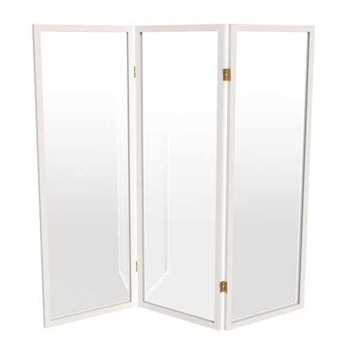 4 ft. Short Clear Plastic Partition White 3 Panel - color: White, size: 3 Panel