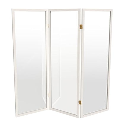 4 ft. Short Clear Plastic Partition White 3 Panel - color: White, size: 3 Panel
